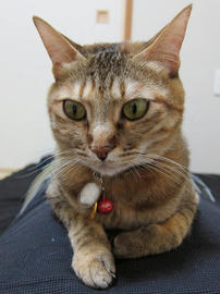 IMG01919.jpg
