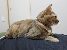 IMG01920.jpg