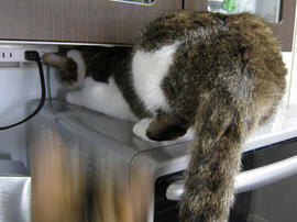 IMG01922.jpg