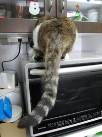 IMG01924.jpg