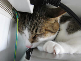 IMG01925.jpg