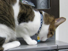 IMG01927.jpg