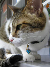 IMG01928.jpg