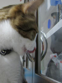 IMG01929.jpg