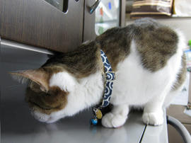 IMG01931.jpg