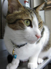 IMG01933.jpg