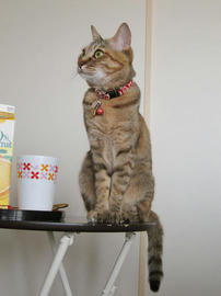 IMG01940.jpg