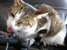 IMG01943.jpg