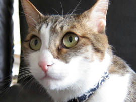 IMG01944.jpg