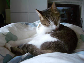 IMGP13661.jpg