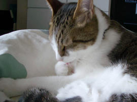 IMGP13663.jpg