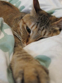 IMG01946.jpg