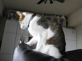 IMG01954.jpg