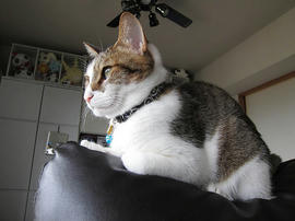 IMG01955.jpg