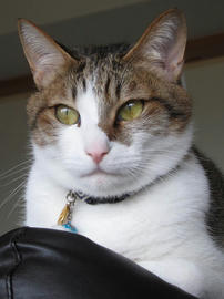 IMG01957.jpg