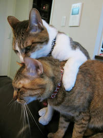 IMG01959.jpg