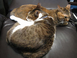 IMG01966.jpg