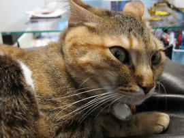 IMG01967.jpg