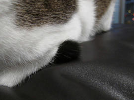 IMG01971.jpg