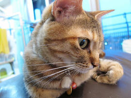 IMG01977.jpg