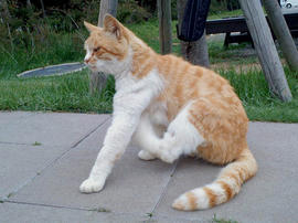 KC3Z0066.jpg