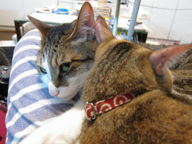 IMG01978.jpg