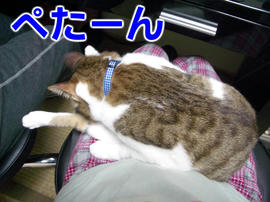 IMGP11020.jpg