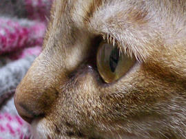 IMGP11022.jpg