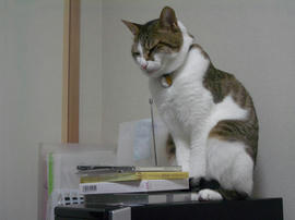IMGP11025.jpg