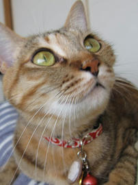 IMG01979.jpg