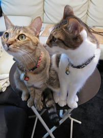 IMG01980.jpg