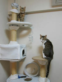 IMG01987.jpg