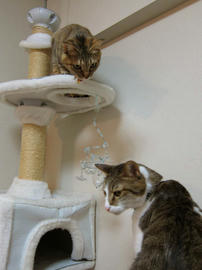 IMG01990.jpg
