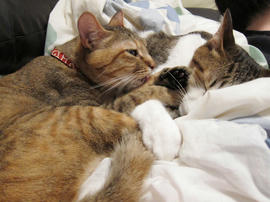 IMG01991.jpg