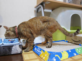 IMG01996.jpg
