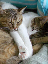 IMGP11038.jpg