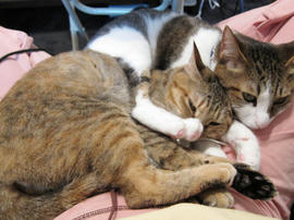 IMG02000.jpg