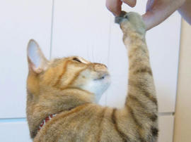 IMG02004.jpg