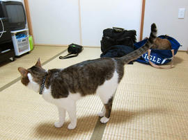 IMG02007.jpg