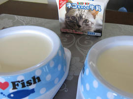 IMG02023.jpg