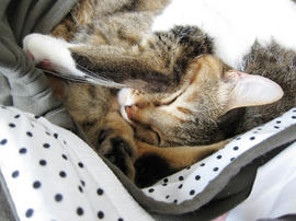 IMG02025.jpg
