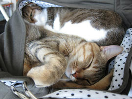 IMG02026.jpg