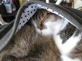 IMG02027.jpg