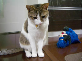 IMGP11074.jpg