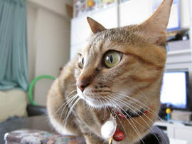 IMG02067.jpg