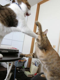 IMG02068.jpg