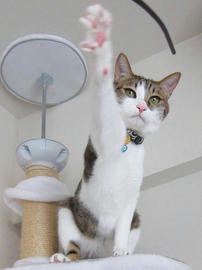 IMG02076.jpg