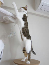 IMG02090.jpg