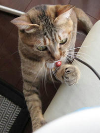 IMG02103.jpg