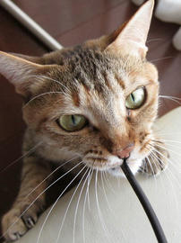 IMG02105.jpg